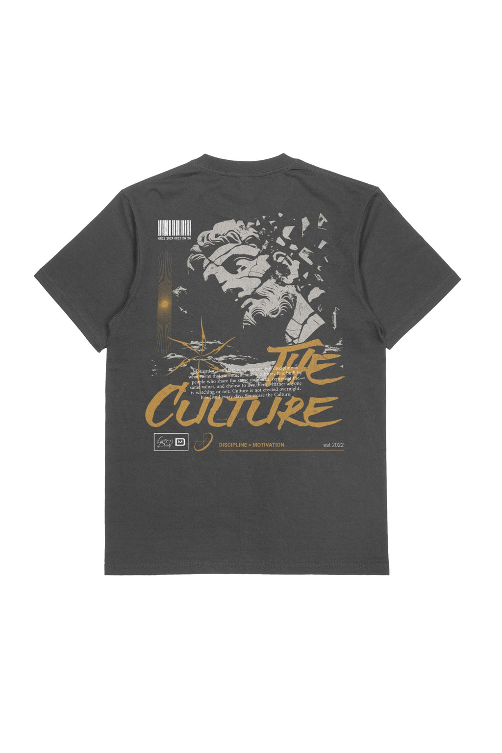 Culture Tee V2, back